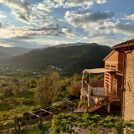 Agriturismo La Fontaccia Rufina Exterior photo