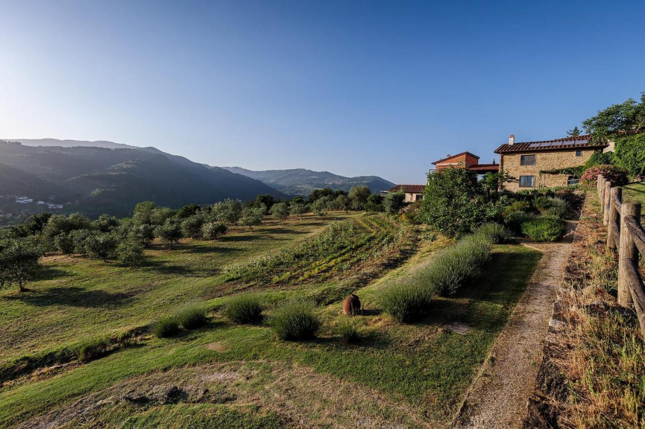 Agriturismo La Fontaccia Rufina Exterior photo