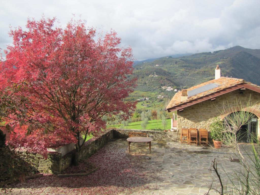 Agriturismo La Fontaccia Rufina Exterior photo