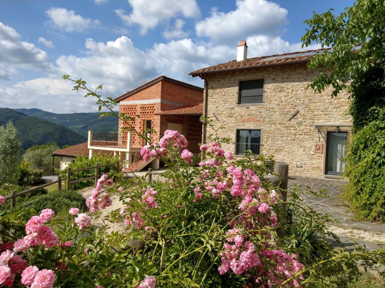Agriturismo La Fontaccia Rufina Exterior photo